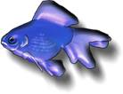 Bluegoldfish